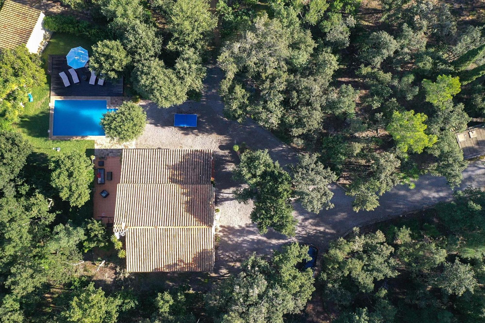 Pedro Monjo Semesterbostad Pollença